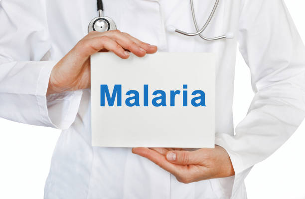 Malaria Consortium Vacancy