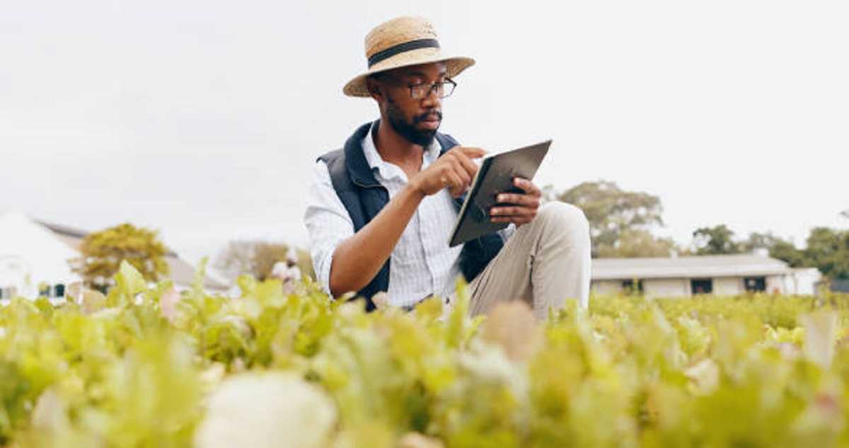 Job Vacancies in Jos