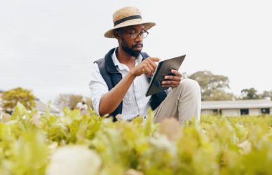 Job Vacancies in Jos
